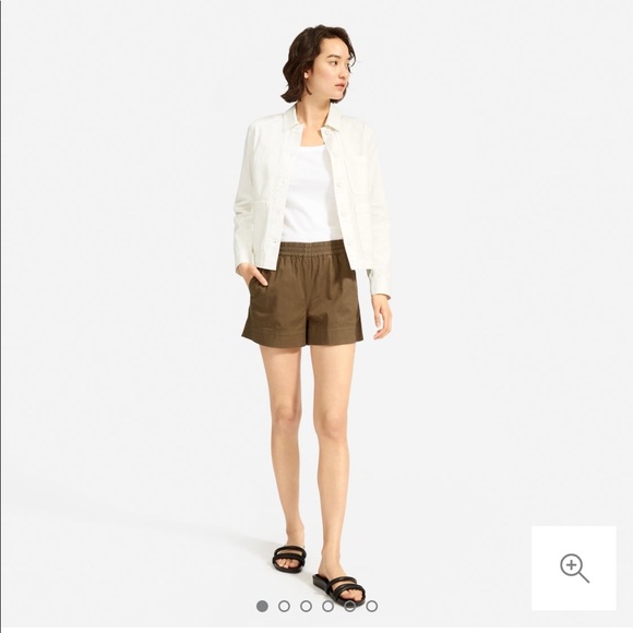 Everlane | Shorts | Everlane Easy Chino 